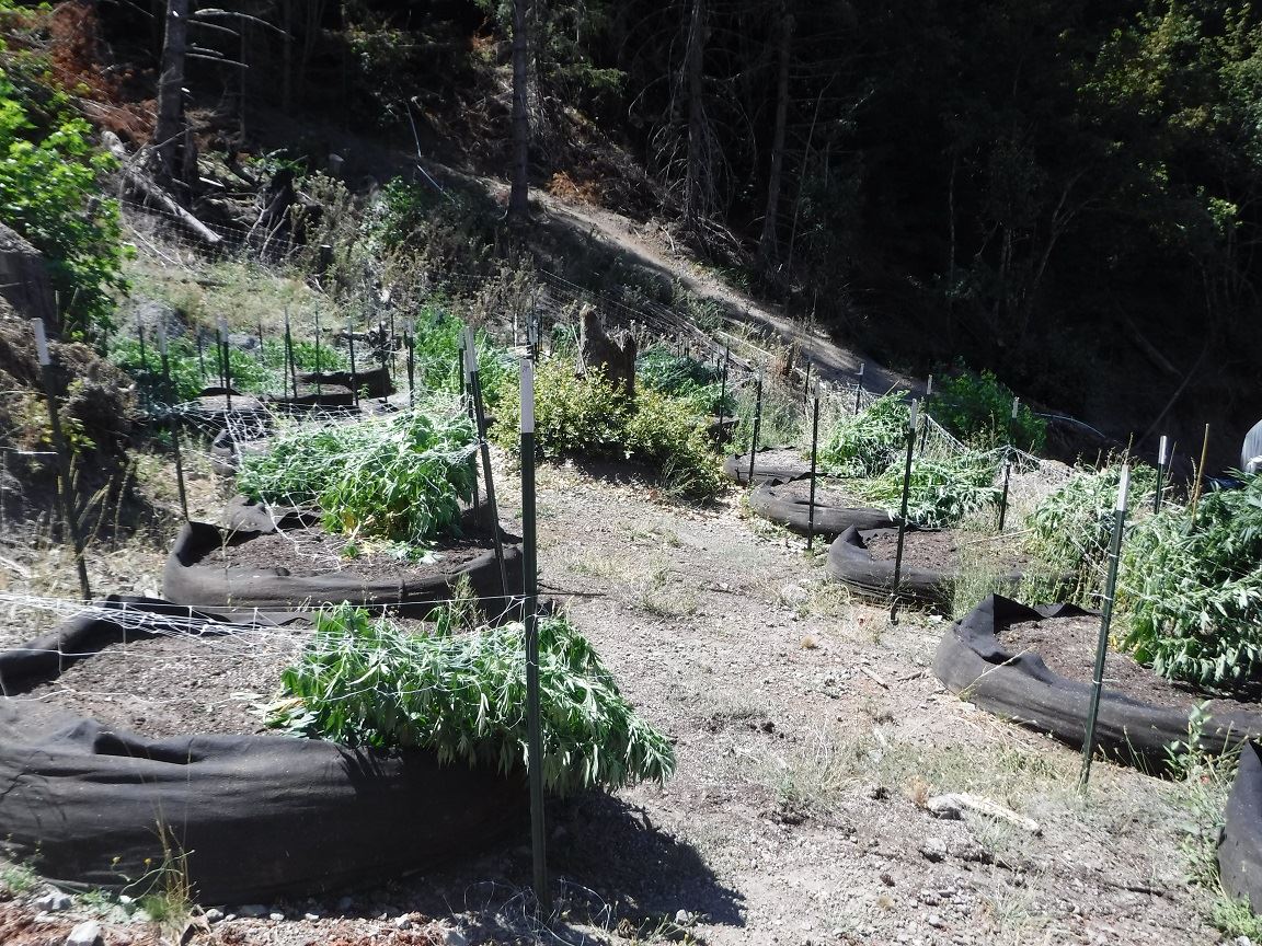 Search Warrant - Case 201603973